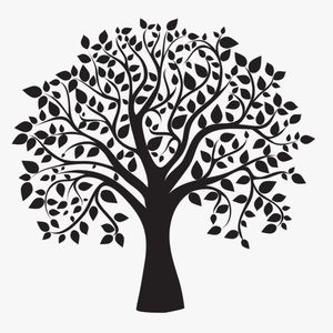 Meet your Posher, Giselle